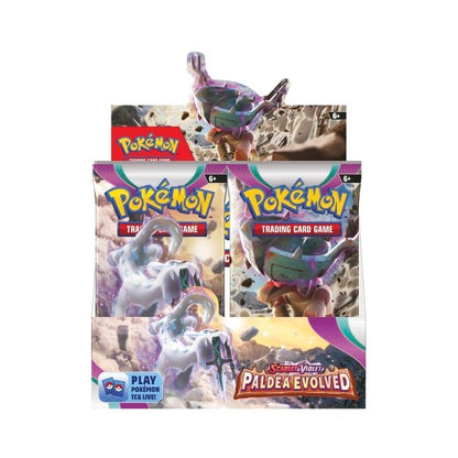 Pokémon - Paldea Evolved – Display (EN)